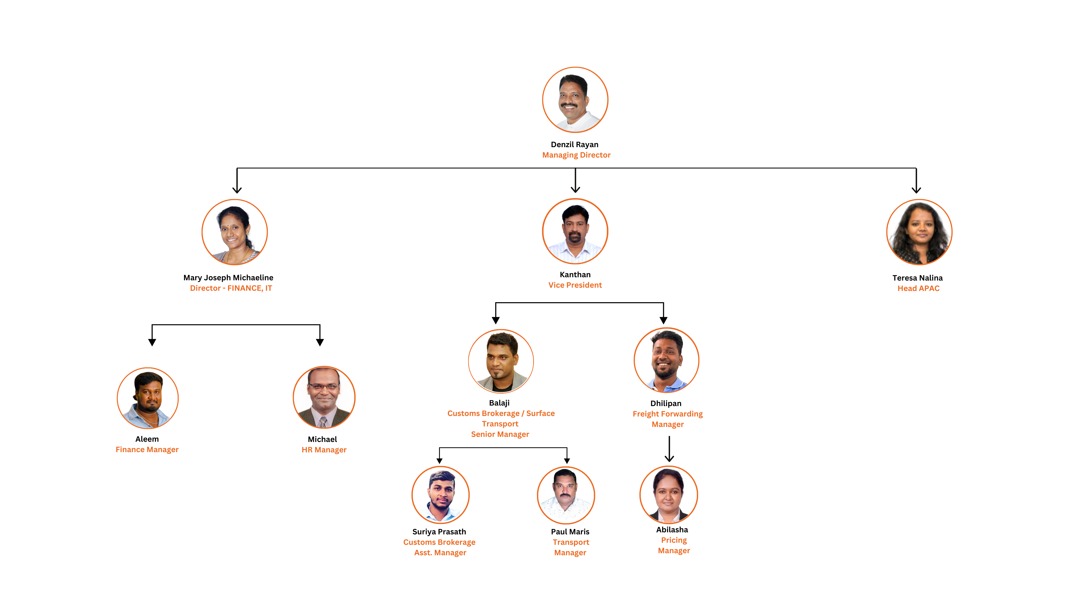 management-structure